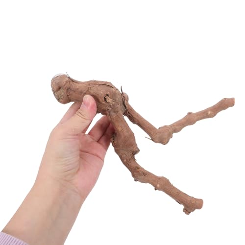 Angoily Bird Perch Stand Set, 5Pcs Natural Wood Bird Perches with Rope | Cage Perch Branch Stand for Climbing Standing Play and Nail Grinding for Parrots