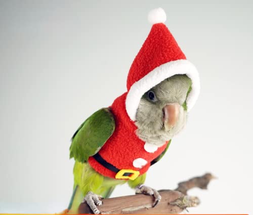 Bird Clothes Birds Flight Suit, Christmas Hoodie for Parrots Cockatiel Sun Conure Christmas Party Cosplay Photo Prop Bird Shirt Small Animals Apparel (Without Diaper,Amazon) - size: Amazon