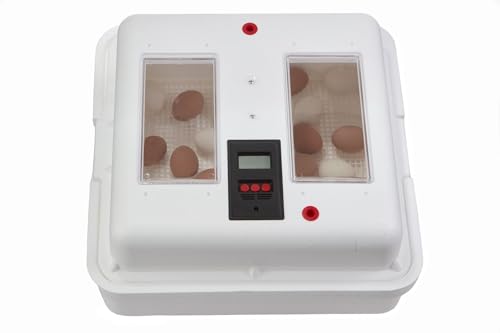 Little Giant® UL Circulated Air Incubator | Fits 41 Large Eggs | Chick Egg Hatching Incubator with Fan and Temperature and Humidity Control | Made in USA - style: UL Listed Incubator with Fan