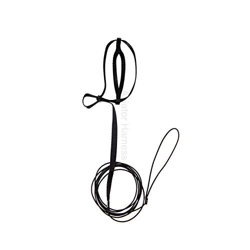 Aviator Harness and Leash X-Small Black - color: Black, size: X-Small
