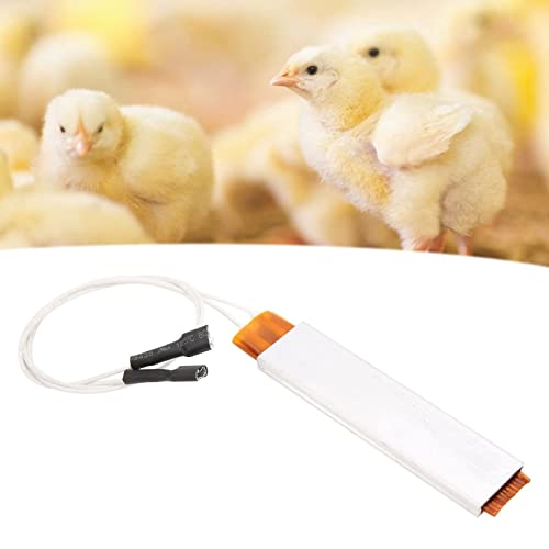 PTC Heating Plate Aluminum, Poultry and Livestock Incubators and Accessories Shell Small Automatic Ceramic Electric Incubator Heating Elements, Incubators and Accessories (12V