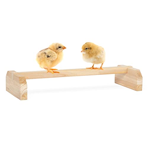 PETSFIT Baby Chick Roosting Bar, Anti-Rotation, Solid Wood, for Brooder | Fits Chicks and Small Birds, Thickened Wooden Perch, Safe for Brooder and Coop, Easy to Assemble and Clean, Non-Toxic Wood