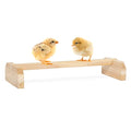 PETSFIT Baby Chick Roosting Bar, Anti-Rotation, Solid Wood, for Brooder | Fits Chicks and Small Birds, Thickened Wooden Perch, Safe for Brooder and Coop, Easy to Assemble and Clean, Non-Toxic Wood