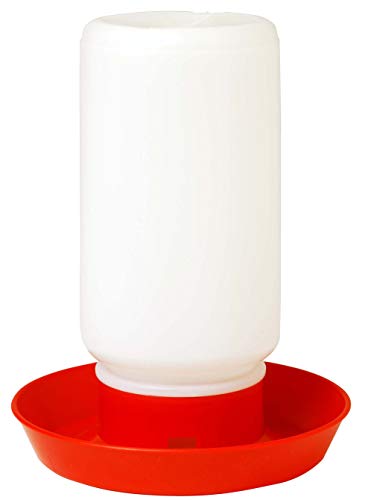 Little Giant® Screw-On Poultry Jar | 1 Quart | Heavy Duty Translucent Plastic Container for Waterer or Feeder | Backyard Chickens | Made in USA