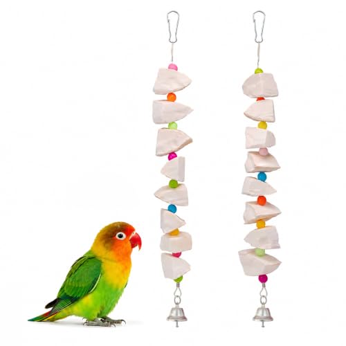 2 Pack Bird Toys with Cuttlebone & Beak Grinding Stone–Cage Accessories for Parakeets, Budgies, Cockatiels, Lovebirds, Green Cheeks & Small to Medium Birds