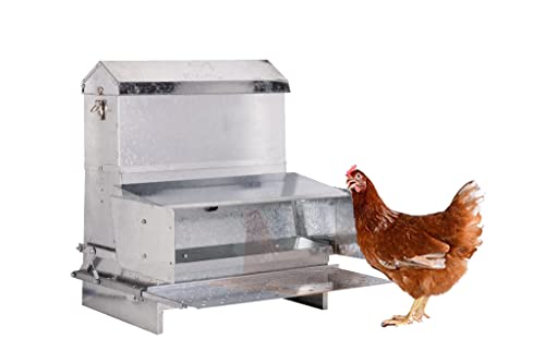 RentACoop 40lb Automatic Metal Treadle Feeder and 15lb Extension Bundle - 55lb Capacity Total