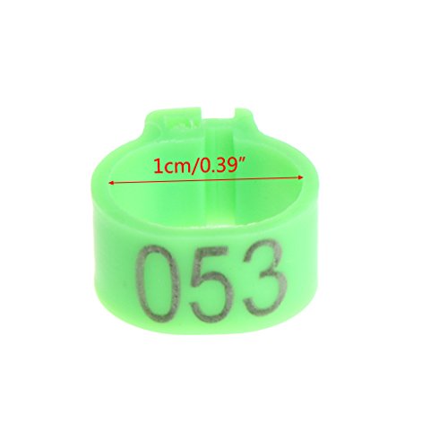 100 Pcs Chicken Bird Leg Rings Colorful Turkey Identification Leg Bands Poultry Leg Bands Clip for Pigeons Birds 10mm