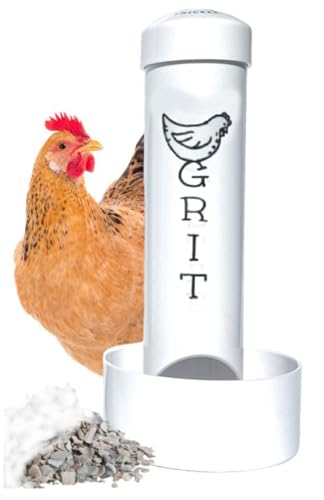 Grit Feeder for Chickens