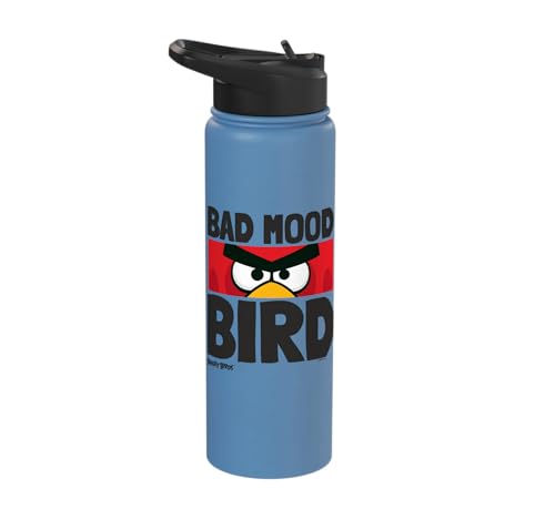 Angry Birds Red Bad Mood Bird Stainless Steel Insulated Water Bottle - color: Light Blue