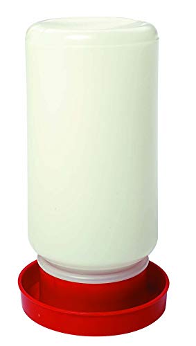 Little Giant® Screw-On Poultry Jar | 1 Quart | Heavy Duty Translucent Plastic Container for Waterer or Feeder | Backyard Chickens | Made in USA