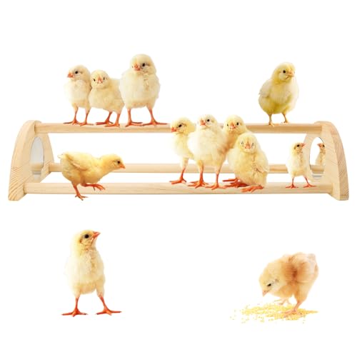 Chicken Perch with Mirror Roosting Barfor Baby Chicks | Chick Jungle Gym Roosting Bar Strong Wooden Baby Chick Perches Outdoor Use, Easy Installation
