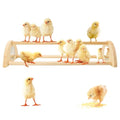 Chicken Perch with Mirror Roosting Barfor Baby Chicks | Chick Jungle Gym Roosting Bar Strong Wooden Baby Chick Perches Outdoor Use, Easy Installation