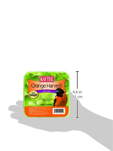 Kaytee Orange Harvest Suet Dough | Year-round feeding. Orange harvest suet for birds. Tray included, less messy, 1 bird food block
