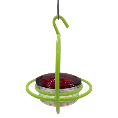 Hummingbird Feeder for Outdoors Hanging, 3.4 OZ Hummingbird Feeders, Glass Bowl with 4 Feeding Ports, Leak Proof Lid & Circular Perch, Bird Feeder (1, Lime) - color: Lime