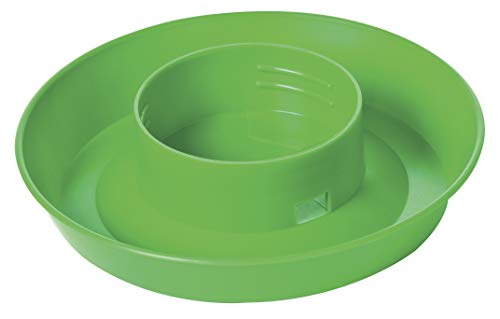 Little Giant® Screw-On Poultry Waterer Base | Heavy Duty Plastic Water Tray for Container | Chicken Waterer Screw on Base | 1 Quart (Lime Green, Pack of 1) - size: Pack of 1