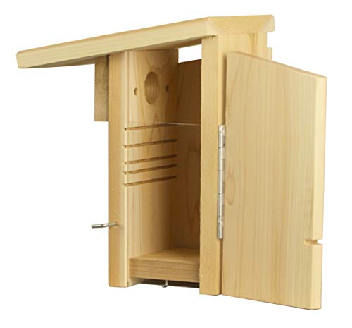 Cedar Super Bluebird House with Steel Pole Package (1)