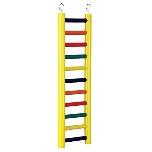 Prevue Pet Products 11-Rung Wood Bird Ladder Foot Exercise Beak Use | Accessories for All Pet Bird Sizes, Hanging Birdcage Toy for Climbing, Mental Enrichment, and Interactive Play
