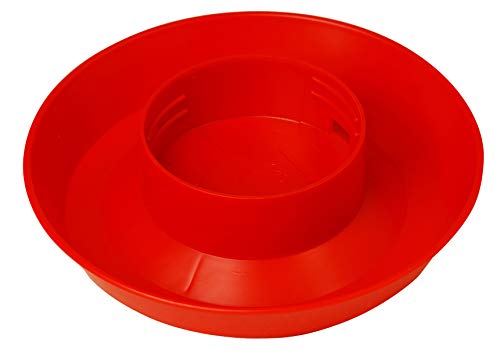 Little Giant® Screw-On Poultry Waterer Base | Heavy Duty Plastic Water Tray for Container | Chicken Waterer Screw on Base | 1 Quart (Red, Pack of 1) - size: 1 Quart