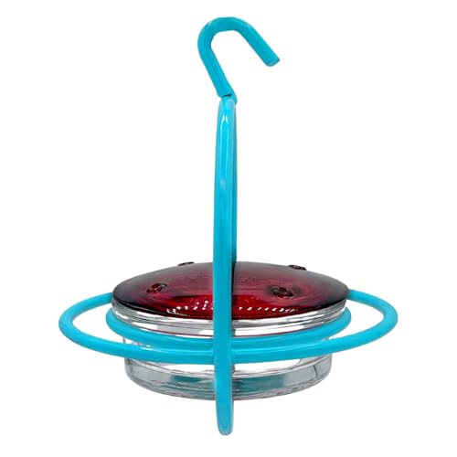 Hummingbird Feeder for Outdoors Hanging, 3.4 OZ Hummingbird Feeders, Glass Bowl with 4 Feeding Ports, Leak Proof Lid & Circular Perch, Bird Feeder (1, Aqua Blue) - color: Aqua Blue
