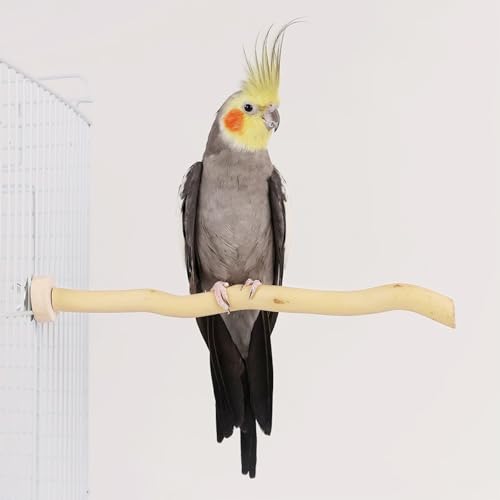8 PCS Natural Wood Bird Perch Set, U Shape, Forking, No Branch, O Shaped Platform, Suitable for Cockatiel, Cockatoo, Budgie, Parakeet, Conure, Macaw, Love Bird