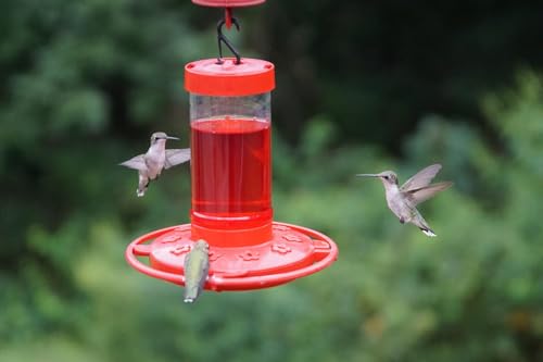 Rocky Mountain Goods Hummingbird Feeder – 16 oz Bright Red Plastic – Wide Mouth for Easy Filling and Cleaning – Includes S-Hook – Multiple Feeding Ports for More Hummingbirds