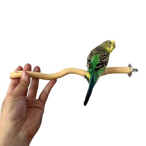 5 PCS Natural Parrot Perch Bird Stand Wooden Parrot Perch Stand Parakeet Climbing Standing Branches Toy for Small Lovebirds Budgies Cockatiels
