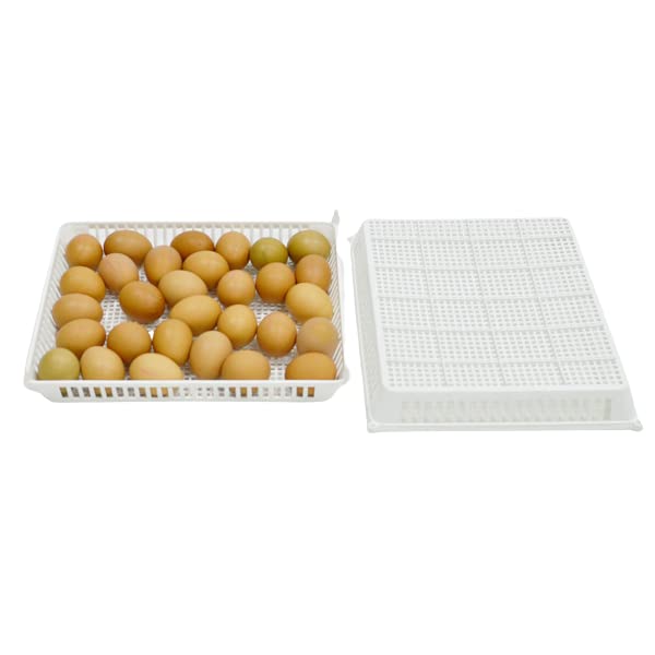Hatching Time Automatic Egg Turner, Vibration-Free Design, Easy to Clean, Low Power Usage, Suitable for Chickens - style: 120 Egg Turner