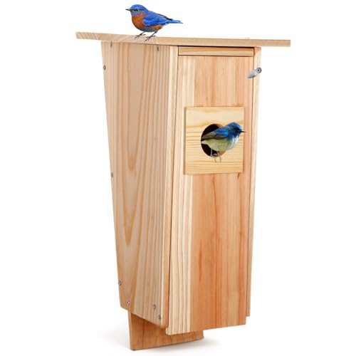 Kathfly 16 Inch Cedar Bluebird Box Houses for Outside Entrance Hole Big Wood Bird Houses Wall Mounted with Metal Secure Latch Air Vents for Bluebirds Titmice Chickadees Wren Swallow Nesting