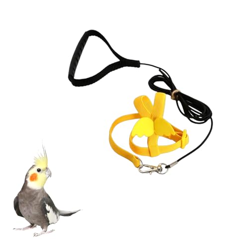 Bird Diaper with 78 Inch Flying Leash, Cute Fight Suite for Cockatiels(S) | 2 Pack Small Protective Parrot Nappy, Urine Wet Suit for Parakeets Conure Quakers, Waterproof Inner Layer, Machine Washable - color: Color 3, size: S