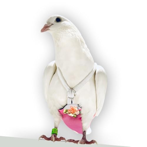 FLYPER Adjustable Mini Bird Diaper | Reusable, Washable Cloth | Comfort Fit for Parrots, Cockatiels, and Other Small Birds | Fashionable Avian Accessories (Sparkly Rose, Size 9.5) - size: 9.5