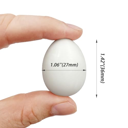 10pcs Solid Plastic Pigeon Eggs Fake Eggs for Racing Pigeons Hatching Supplies | for Racing Pigeons Hatching Supplies