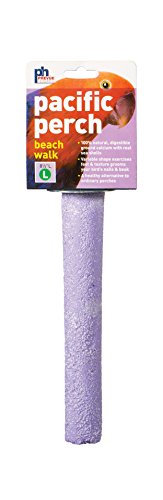 Prevue Pet Products Pacific Perch Beach Walk Large - Natural Seashell Mineral Bird Perch for Cage Accessory, Foot Exercise & Beak Grooming, Medium to Large Birds - size: Large
