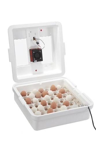 Little Giant® Digital Circulated Air Incubator with Automatic Turner | 41 Egg Capacity | Chick Egg Hatching Incubator with Fan and Egg Turner | Made in USA - style: Incubator with Fan and Egg Turner