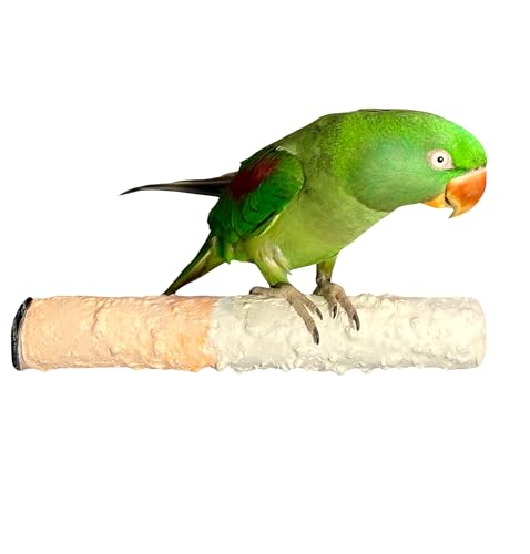 Polly's Edible Cuttlebone Calcium Bird Cage Perch for Budgies, Parakeets, Amazons, Blue & Golds, Macaws and Cockatoos.… (Variety, Large) - color: Variety, size: Large