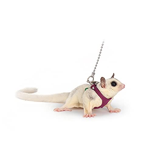 3 Pack Sugar Glider Harness and Leash Set - Adjustable Traction Rope Strap Anti-Biting Chain Rope, Small Animal Training Walking Vest Leash for Sugar Glider Squirrel Hamster Rat Birds Reptile (Purple) - color: Purple