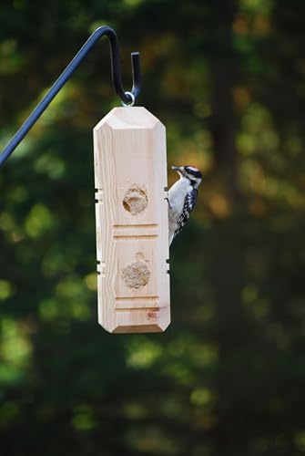 Suet Plus Plug Pine Feeder, Bevel Cut Post