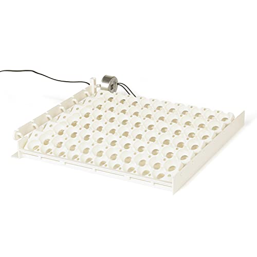 Farm Innovators 3400 Quail Rail Fits 240 Small Eggs, Replaces Standard Chicken, Goose, & Duck Trays in Model 3200 Automatic Egg Turner (12 Pack)