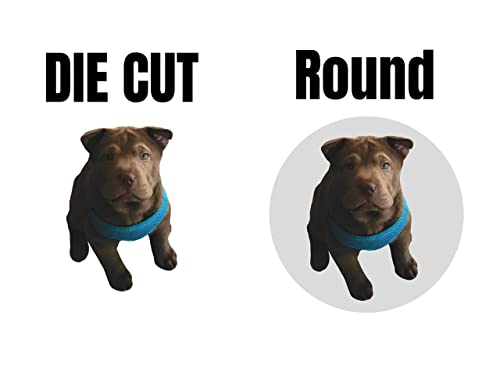 Custom Stickers, Image or Text- Vinyl Custom Labels Stickers Personalized - Waterproof, Dishwasher Safe, Fade Resistant, UV Protected Business Labels | Dishwasher Safe, UV and Fade Resistant; Sizes 1-10 inches, 50 to 1000 Count; 8 Custom Shapes; Vibrant P