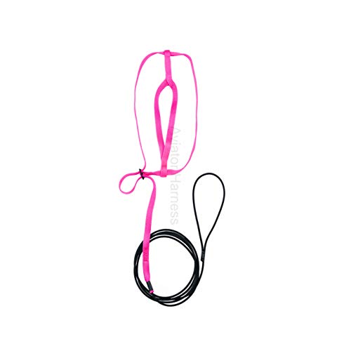 The AVIATOR Pet Bird Harness and Leash: X-Large Pink - color: Pink, size: X-Large