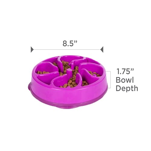 Outward Hound Fun Feeder Slo Bowl – Medium 2‑Cup Capacity, Slow Feeding, Small to Medium Dogs & Cats, Non-Slip, Purple, Flower Pattern - color: Purple, size: Medium