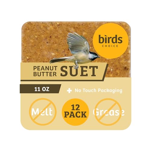 Birds Choice Peanut Butter No Melt Suet Cake | Rendered Beef Suet, Oats, Roasted Peanuts, Sunflower Oil, Corn | Premium Wild Bird Food for Year-Round Backyard Feeding | 11 oz (12-Pack) | Rendered Beef Suet with Oats, Roasted Peanuts, Sunflower Oil and Cor