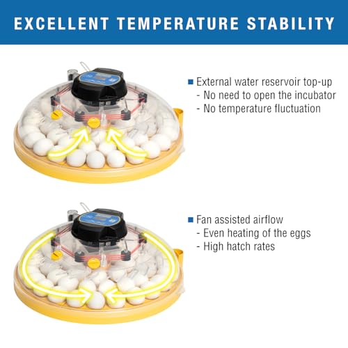 Brinsea Maxi 48 EX Egg Incubator with Automatic Turning & Humidity Control | 50+ years of trusted precision! Built-in automatic humidity, auto-turn & temp alarms take the stress out of hatching 48+ eggs