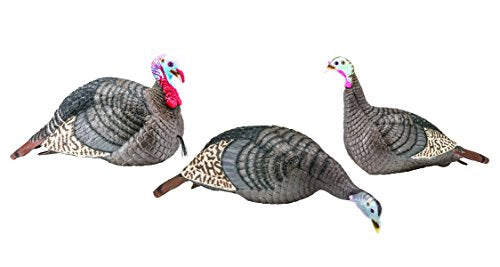 HUNTERS SPECIALTIES HS Strut Lite Flock Jake & Feeding Hen & Upright Hen Turkey Foldable Hollow Relaxed Body Realistic3-Pack Combo Set Decoys