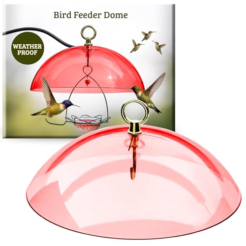 Birds Choice Red Bird Feeder Dome | 10.5" Rain Guard Cover for Hanging Bird Feeders | Outdoor Weather Guard to Help Keep Seed Dry | Domed Acrylic Outdoor Weather Guard for Hanging Feeders to Keep Seed Dry, Heavy-Duty Chrome-Plated Hanger and Hook - color: