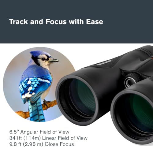 Celestron TrailSeeker ED 10x50 ED Glass Binoculars for Low-Light Viewing | Large 50mm Objectives, ED Glass for Bright Views, Phase & Dielectric-Coated BaK-4 Prisms, Fully Broadband Multi-Coated - style: Trailseeker ED 10x50