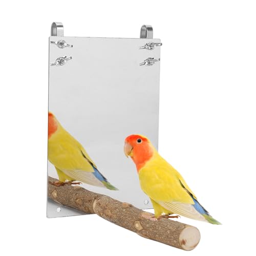 Joyzan Bird Mirror, Wooden Hanging Swing Play Toys Perch Stand Cockatiel | Hummingbird Parrot Parakeets Love Birds Cage Toy Bar Accessories for Small Medium Parrots Conures Canary African Grey Macaw