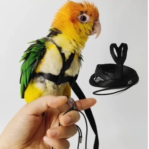 Adjustable Bird Harness with 78.7 Inch Leash, Outdoor Flying Training Rope Kit for Bird Parrots, Parrot Flying Rope Straps Outdoor Training Traction Rope for Small Medium Large Size Birds (XS) - size: XS