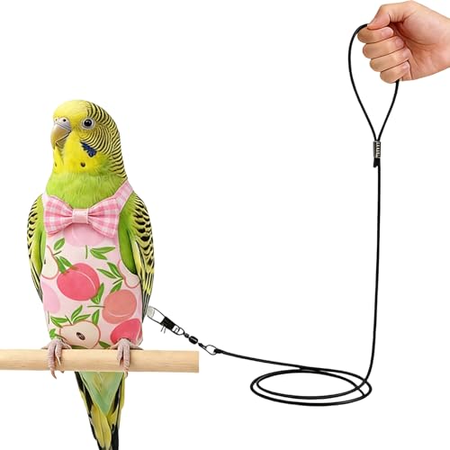 Bird Flying Suit Reusable Washable Pet Parrot Suit | Bird Traction Rope for Macaws Sparrow Parakeet Lovebird Conures Cockatiels - color: apple