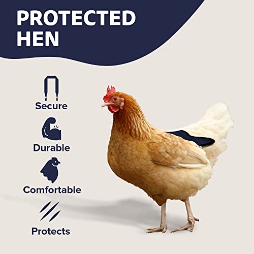 Hen Apron/Saddle, Single Strap, Small/Medium, Navy - color: Navy, size: Medium