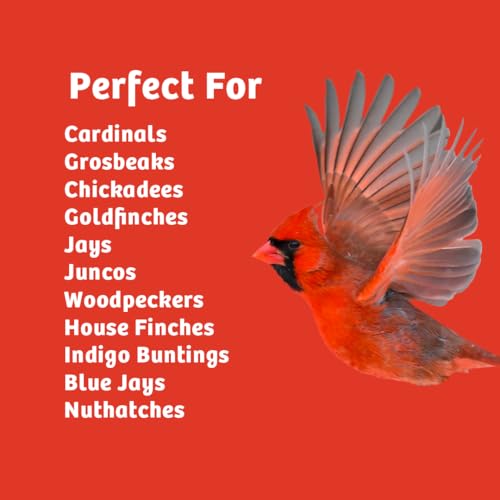 Birds Choice Cardinals Crave Bird Seed Wild Bird Food | Nutrient-Rich Bird Seed Blend | High-Energy with Safflower, Black Oil Sunflower Seeds & Peanuts | High Protein & Fat for Cardinals | 5 lbs | High-Energy Blend of Safflower, Black Oil Sunflower Seeds